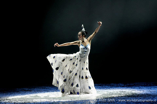 Solo Dance of Peacock, 4